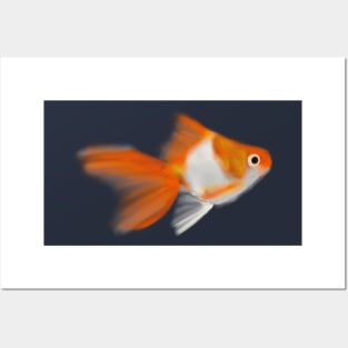 Goldfish Posters and Art